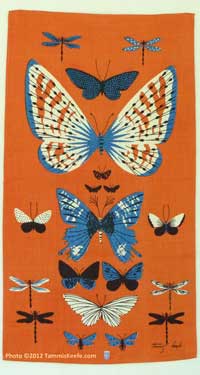 Butterflies, Orange
